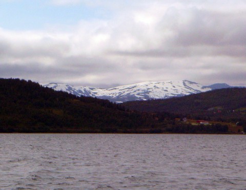 Gisund