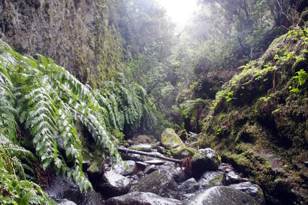 Wandern La Palma