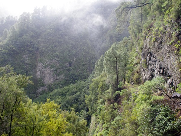 Wanderung - La Palma