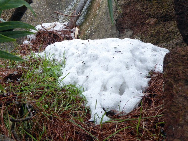 Schnee auf Gran Canaria