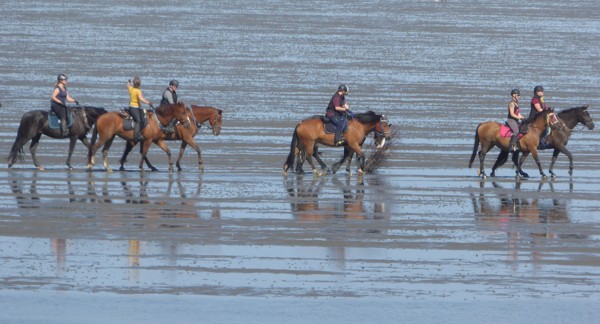 Reiten im Watt