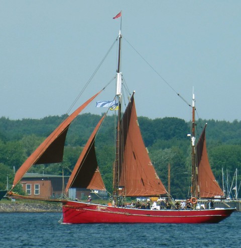 Platessa - Haikutter / Gaffelketsch